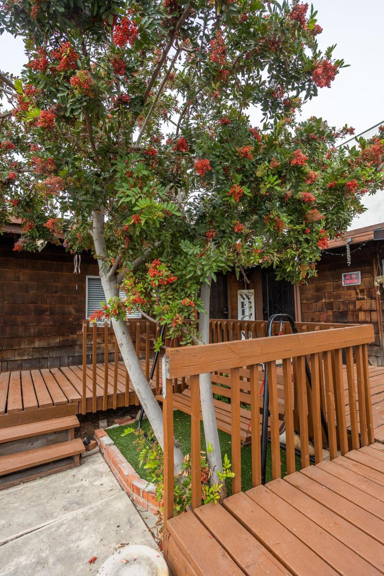 Big Studio With Ocean View Max 6 Sleepers San Diego Exterior foto